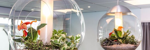 johanwallquist Profile Banner