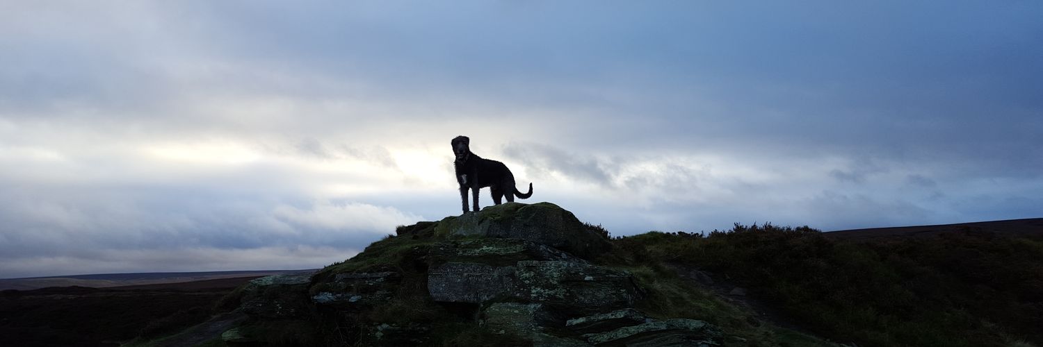 Cillawolfhound's profile banner image