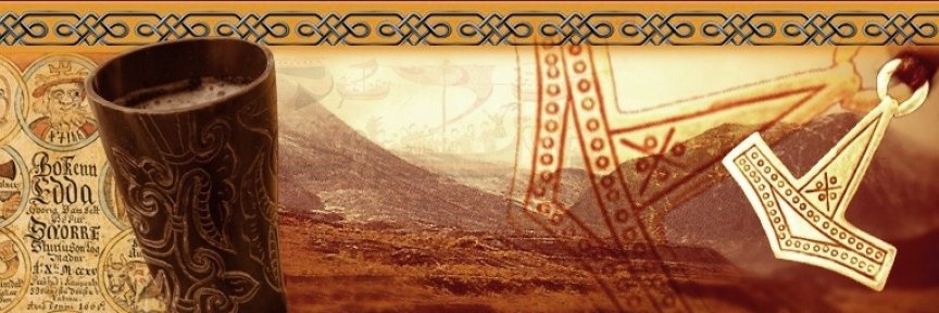 zlemion's profile banner image