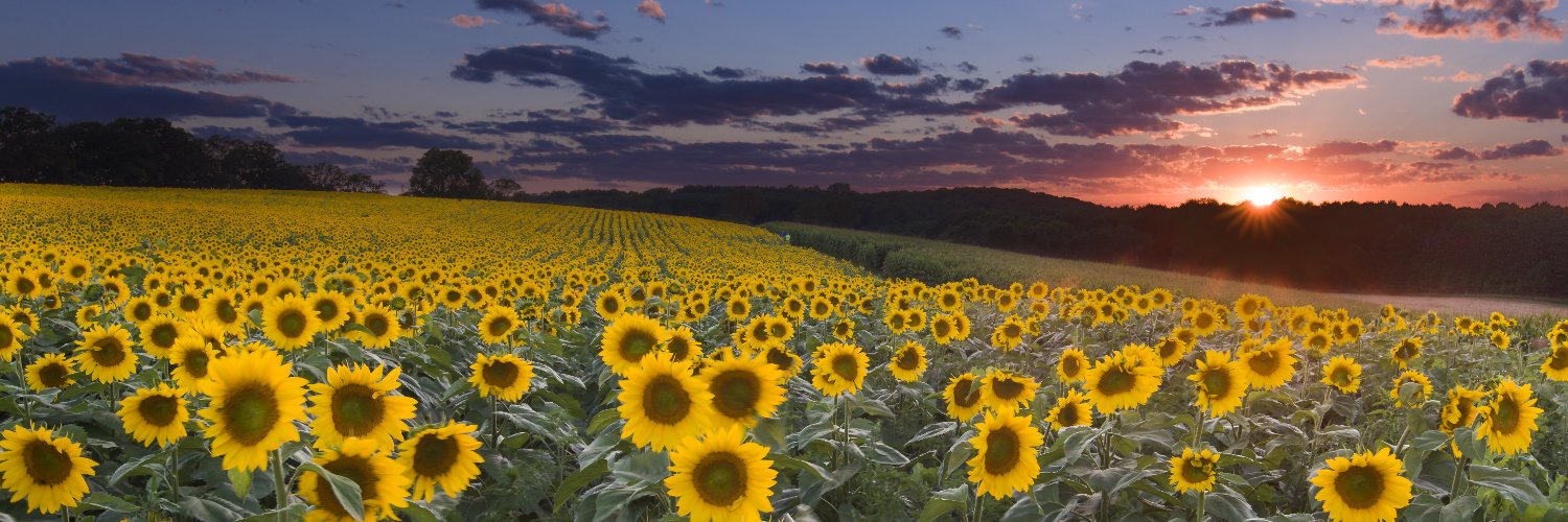 David Duchrow banner