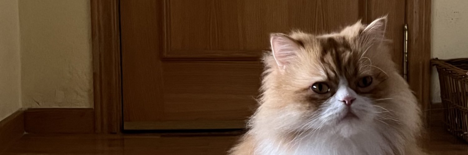 loolamolla's profile banner image