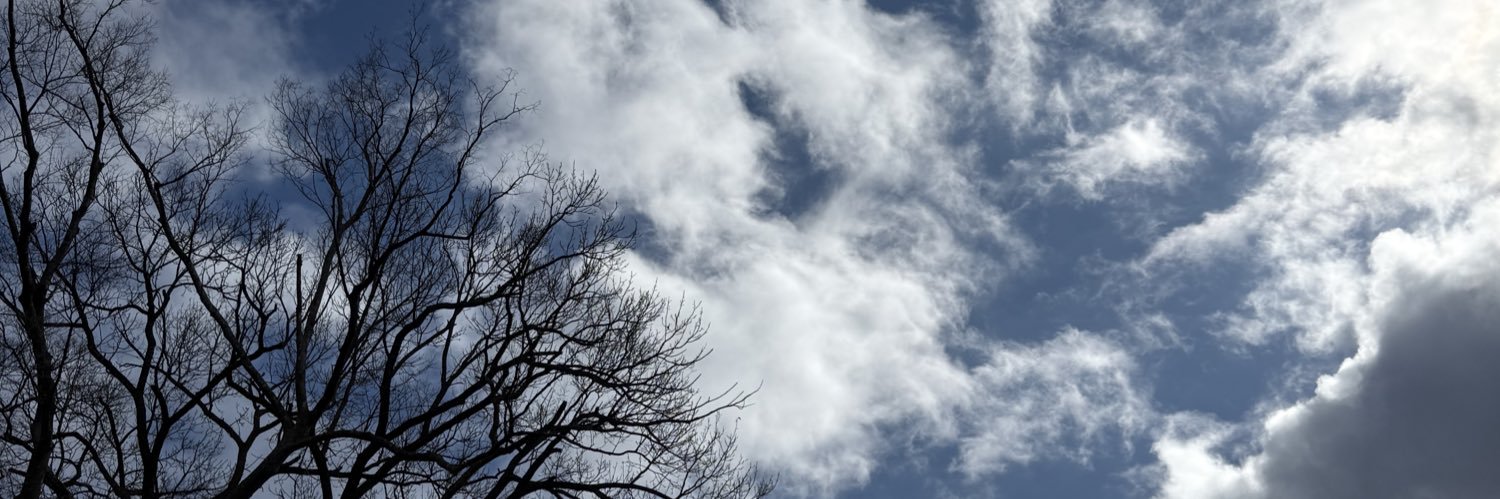 a29238629a's profile banner image