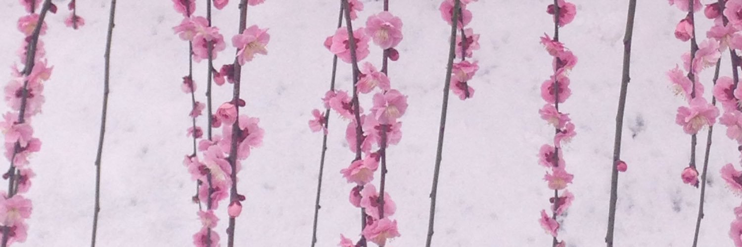 umenituru133's profile banner image