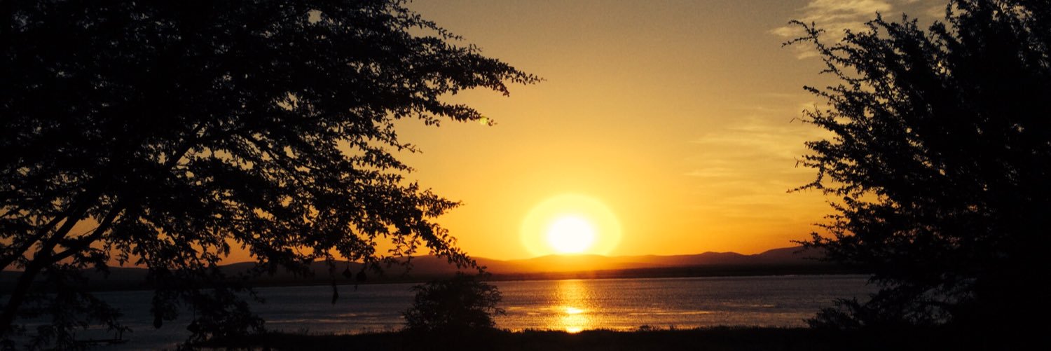 HanBrauninger's profile banner image