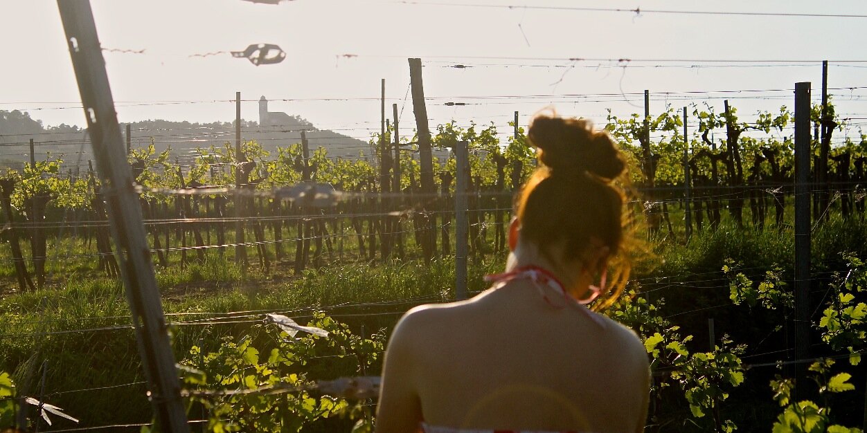 juliane fischer banner