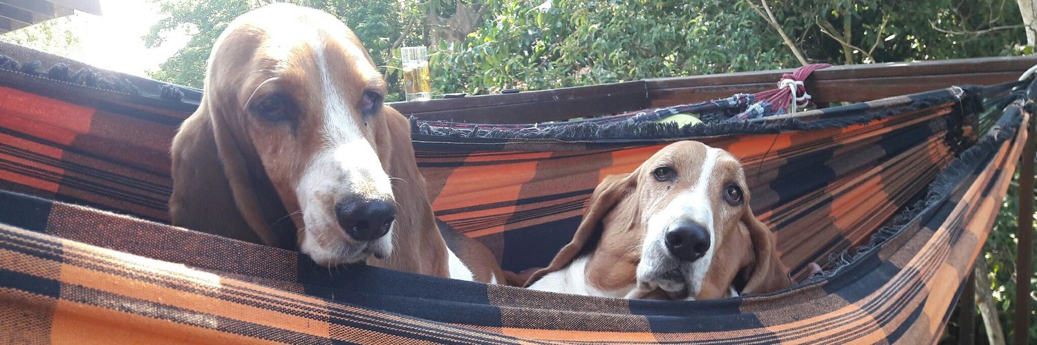 Colette Bodenstaff banner