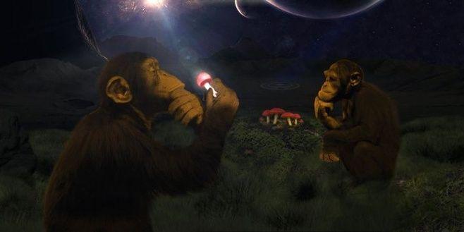 KnucklePunk10's profile banner image