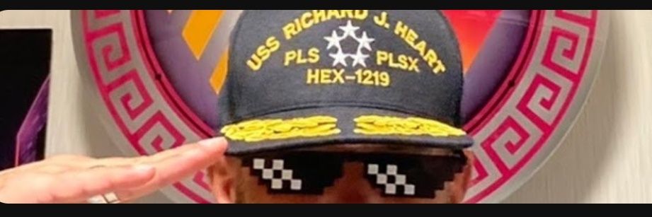 Silver Sailor banner