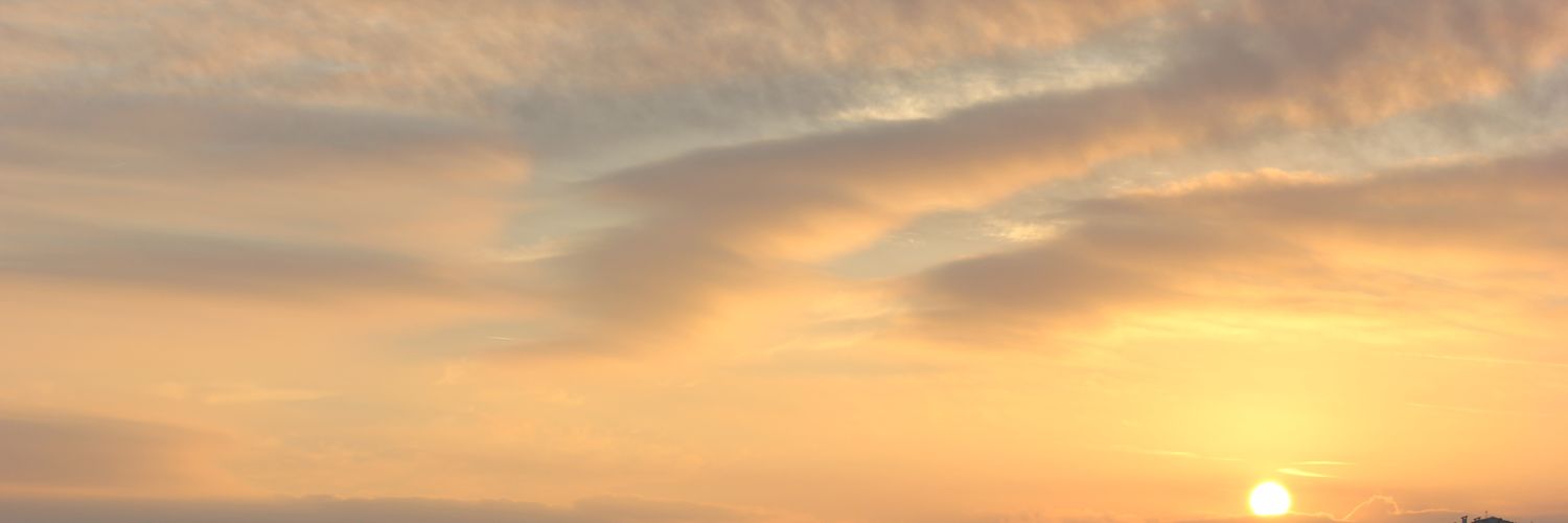 annaribesb's profile banner image