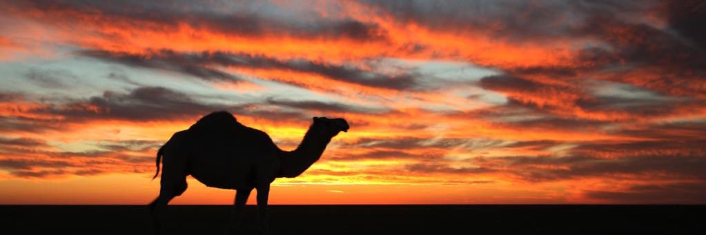 MAlowaidi's profile banner image