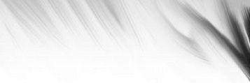 Kevin Rutledge banner