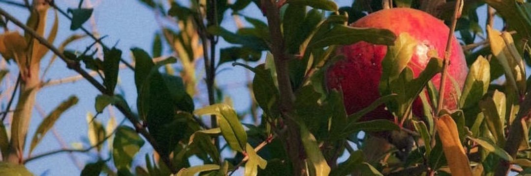 lilliandeville8's profile banner image