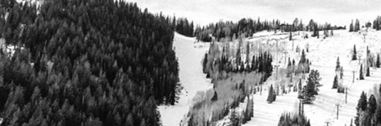 SiennaBottito's profile banner image