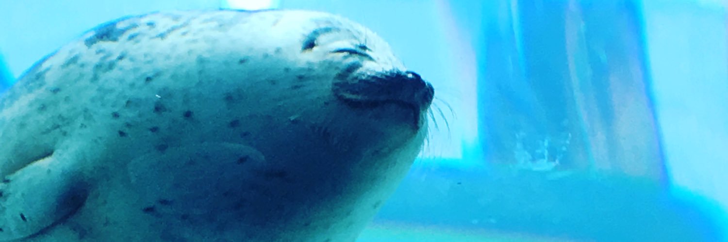 RyoN@スト6垢！ banner