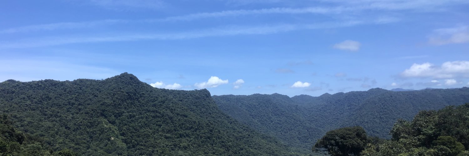 daviwendels's profile banner image