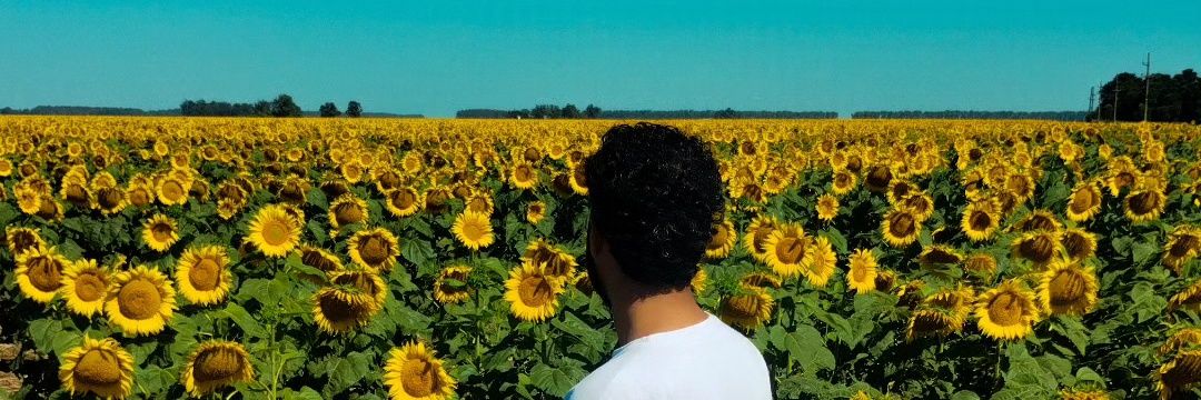 eme_reno's profile banner image