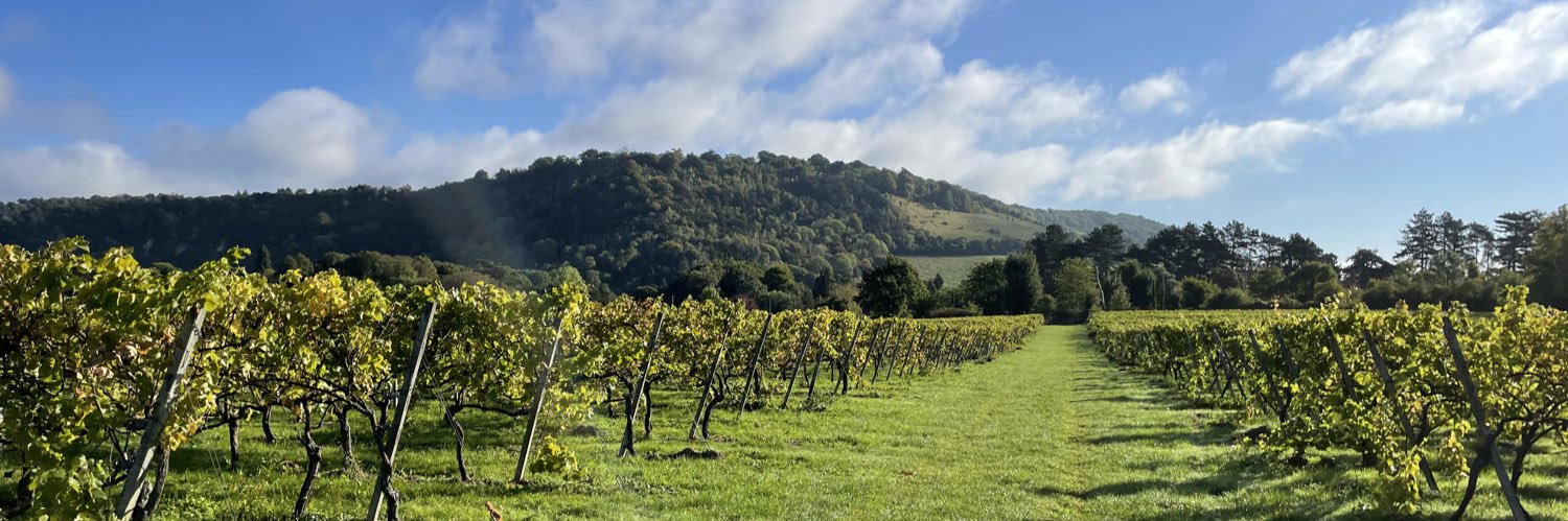 Sarah Billiald banner