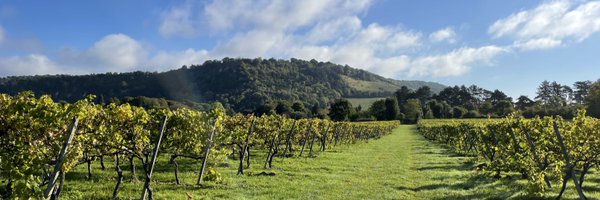 sbilliald Profile Banner