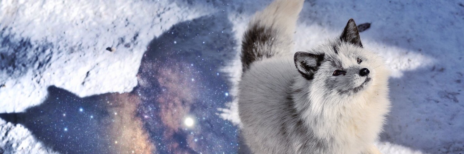 arshynndotpsd's profile banner image