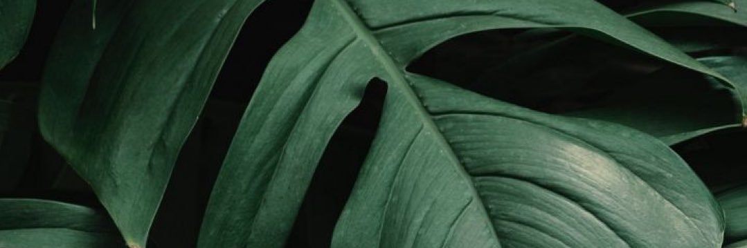 MrM0saic's profile banner image