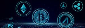wazowskicrypto's profile banner image