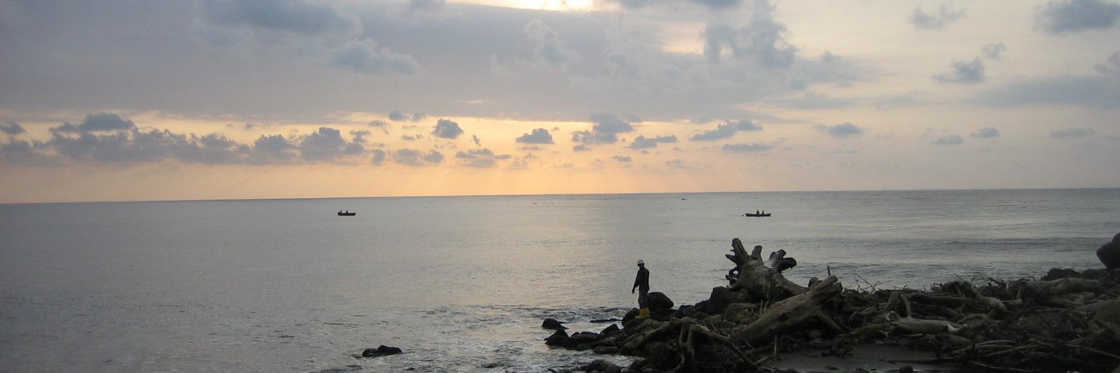 J U L E S © 🌅 banner