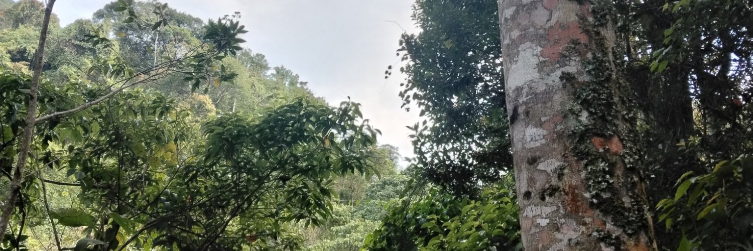 MLobo82's profile banner image