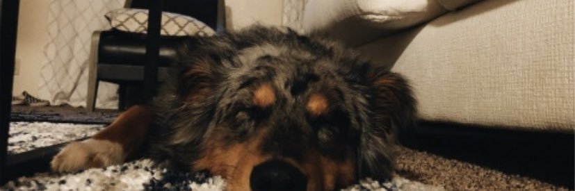 CydneeBlake's profile banner image