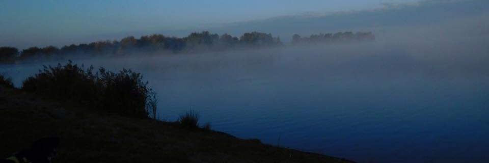 meertjevsoest's profile banner image