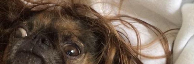 devinwoolley's profile banner image