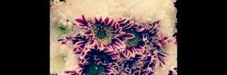 hnef_15's profile banner image