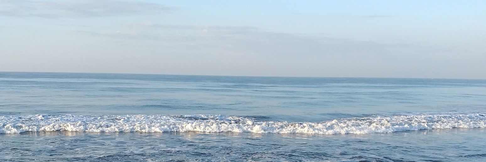 RChava99's profile banner image