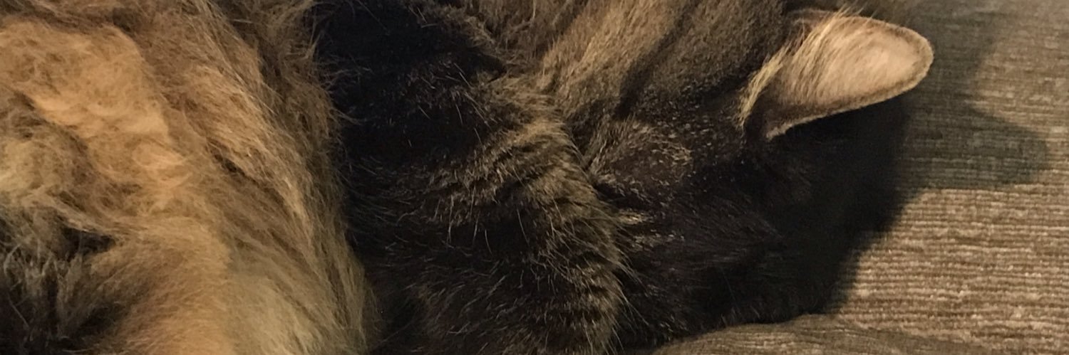 Uncaflea's profile banner image