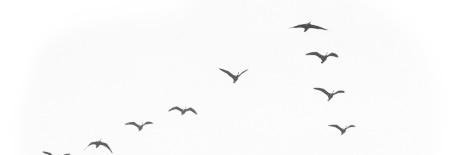 AMLD_ONG's profile banner image