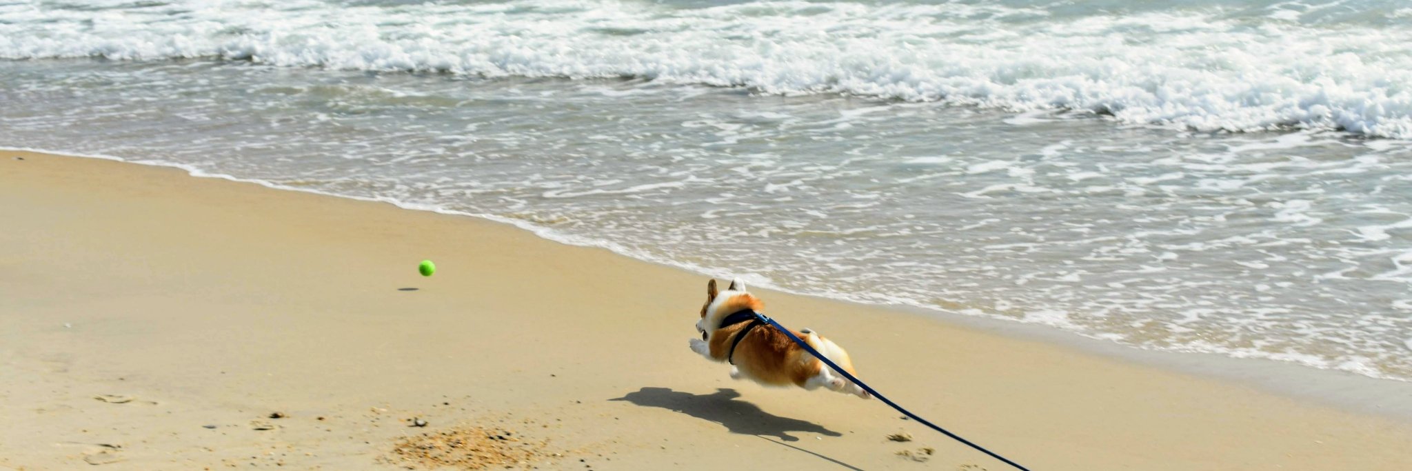 Theresa Sincere-Eastman banner