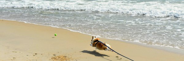 SincerelyTechie Profile Banner