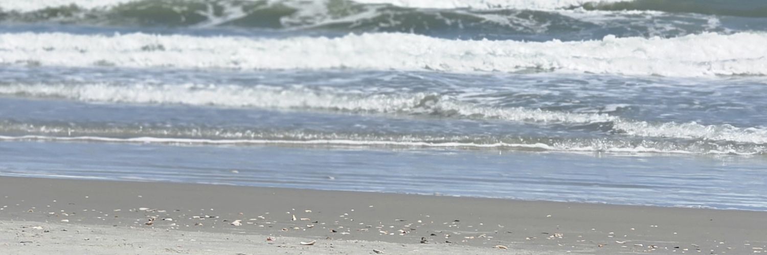 MorganMonnig's profile banner image