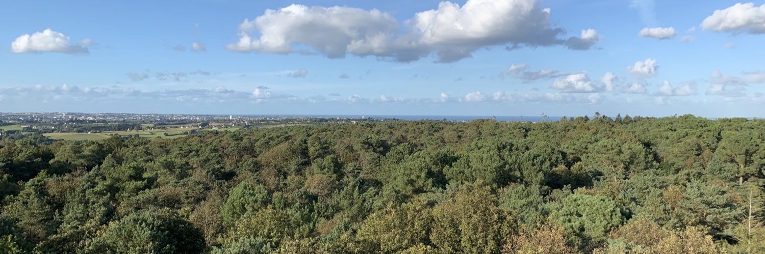 Stephane Briend banner