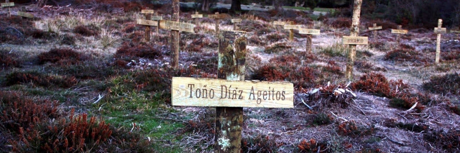 tonhodiaz's profile banner image