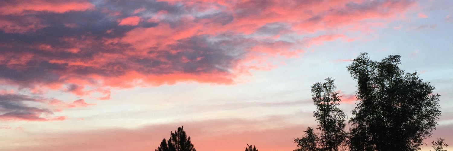bwedeberg's profile banner image
