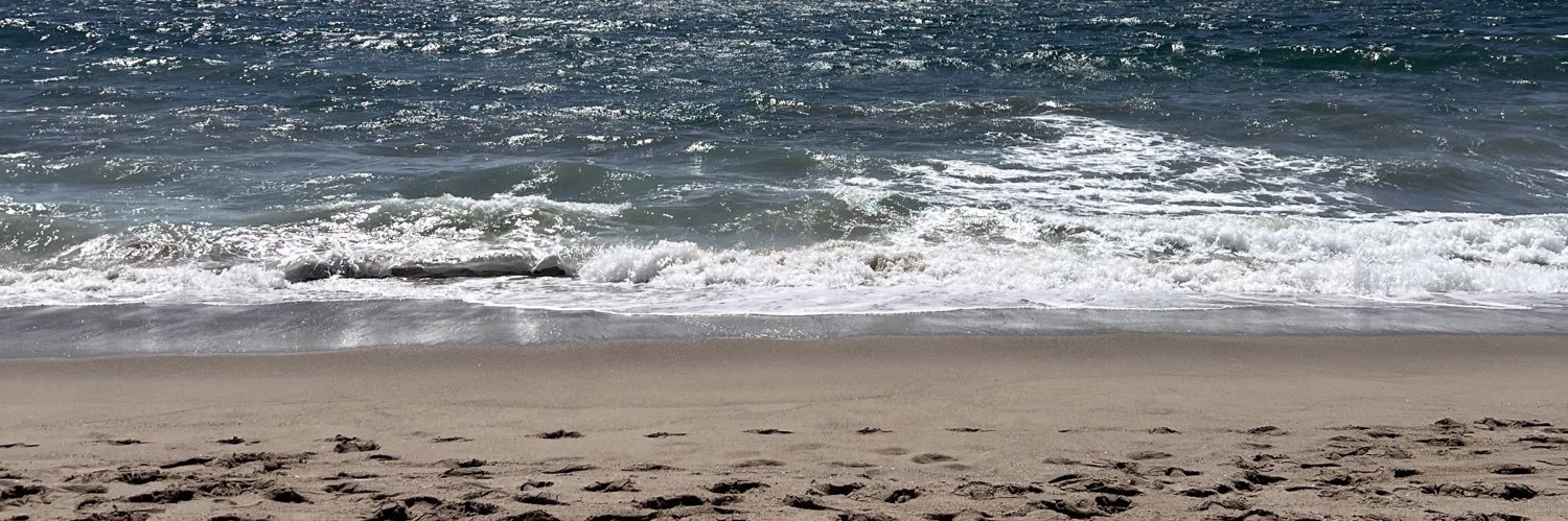 Brigida Beverly banner