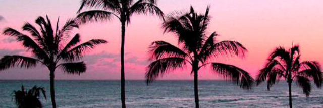 SunshineState__'s profile banner image