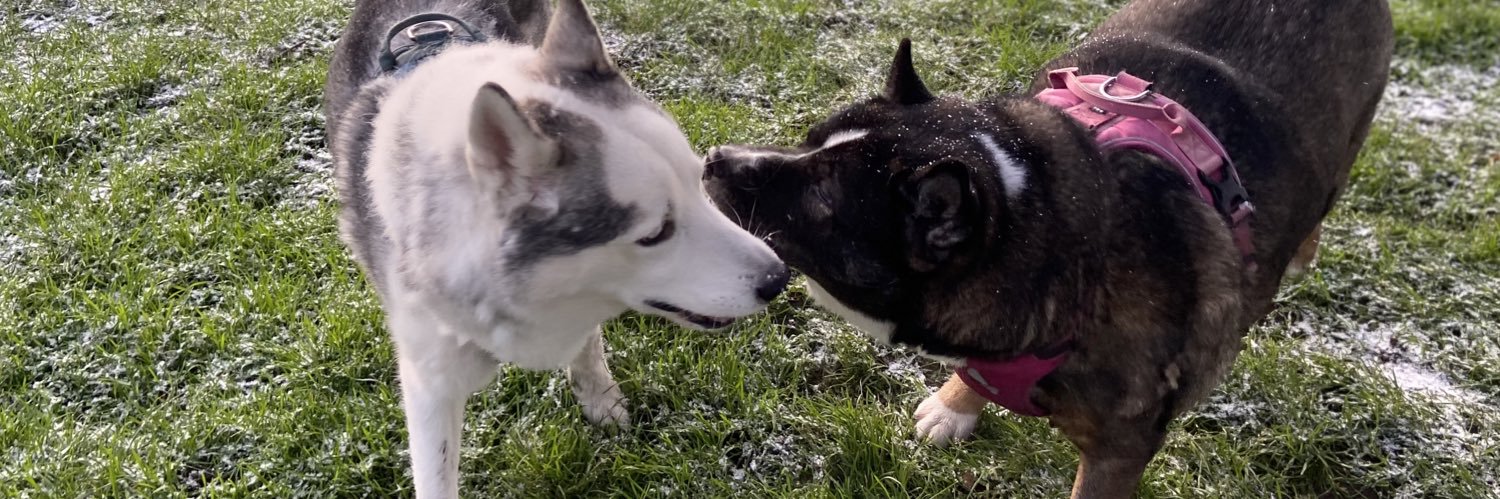 Lil Rich 👊🏽🇬🇧/🇯🇲✊🏽 banner