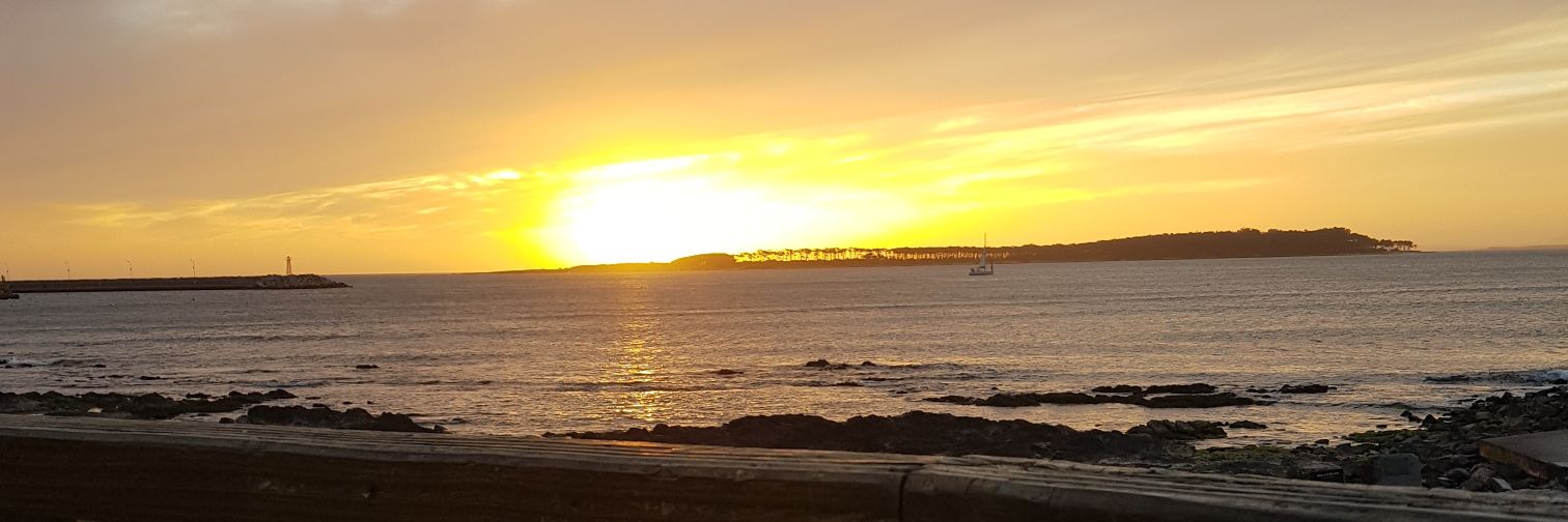 nicogericke's profile banner image