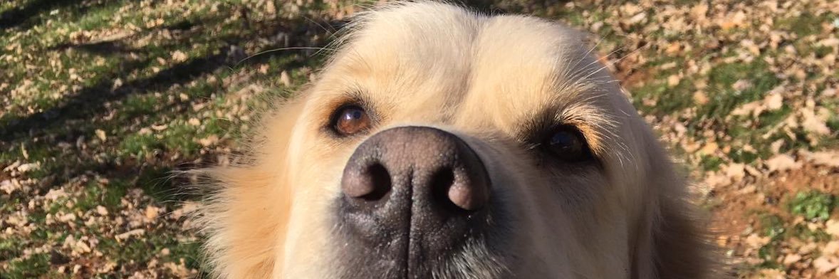 Julien ITARD 🇫🇷 🇺🇦 🇮🇱 banner