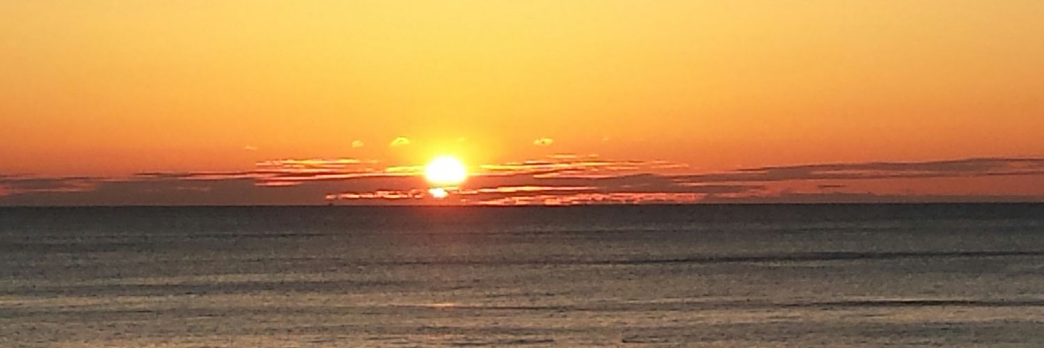 cathy_crone's profile banner image