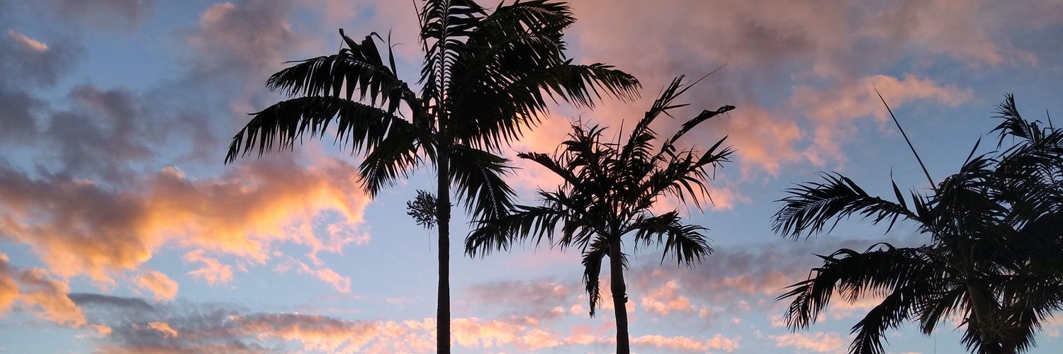 MViltri's profile banner image