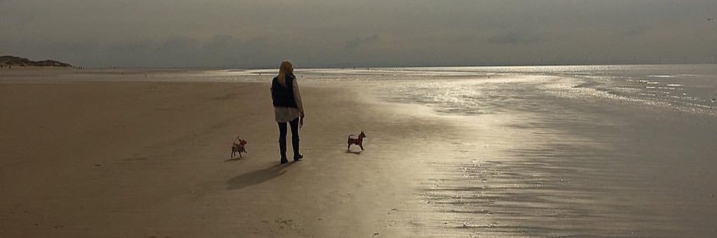 ZoCharlie's profile banner image