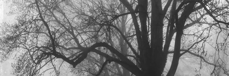 iaintalya's profile banner image