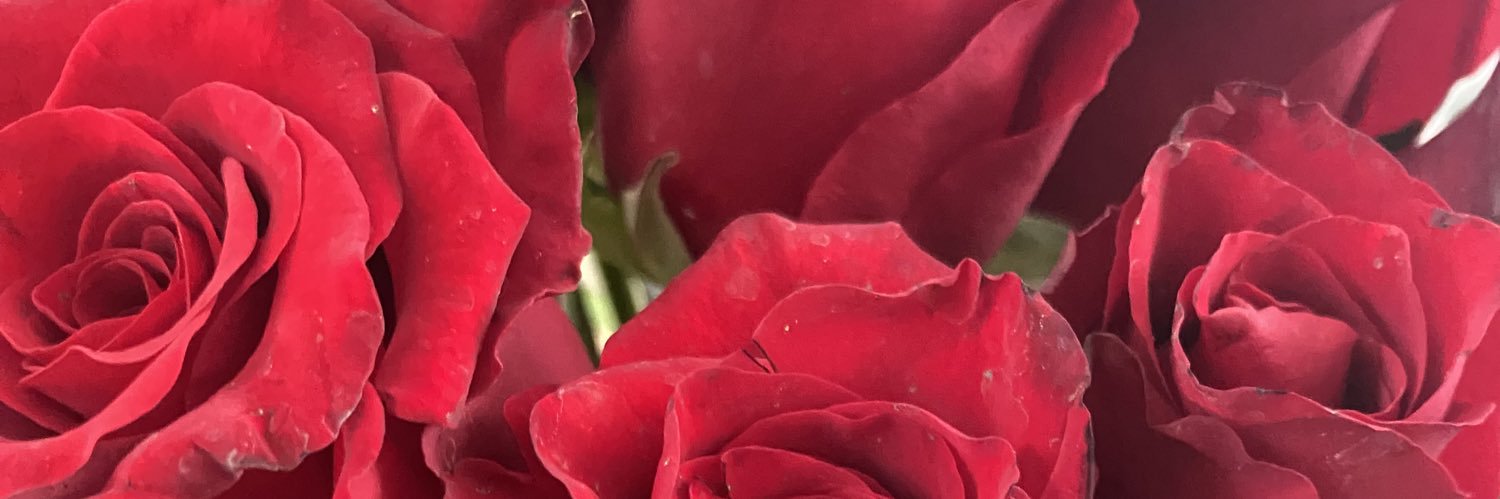 zzcastro_'s profile banner image
